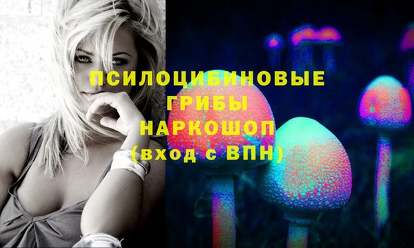 МДПВ Лиски