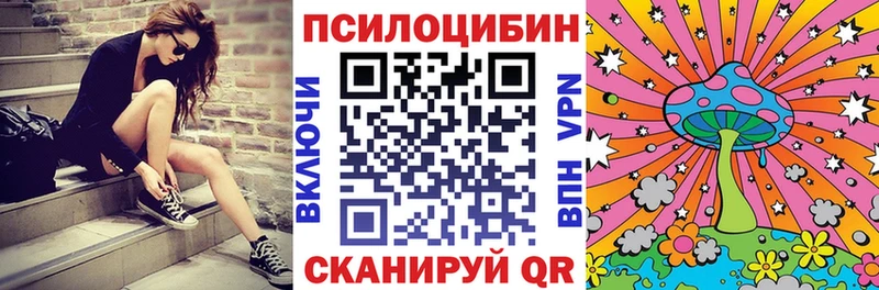 закладка  Тимашёвск  Галлюциногенные грибы GOLDEN TEACHER 