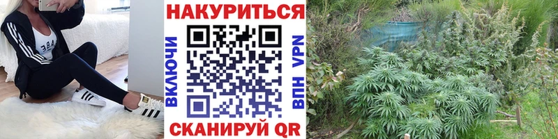 Бошки марихуана MAZAR  гидра ТОР  Тимашёвск 